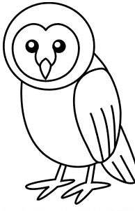 Photo of How to Draw an Owl Face Step by Step Bird Drawing