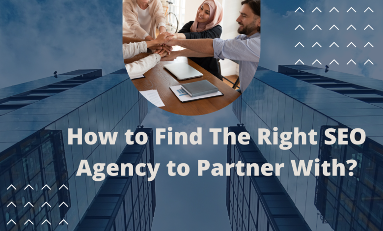 How to Find The Right SEO Agency to Partner With?