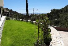 Photo of Professional Gardening Company In Empresa Jardineria Mallorca