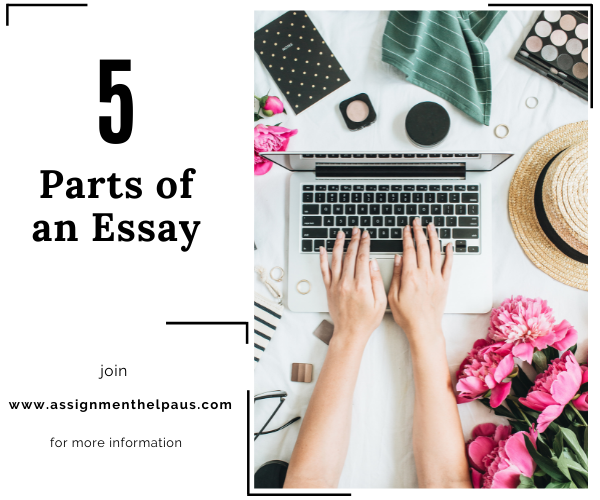 5 Parts of an Essay