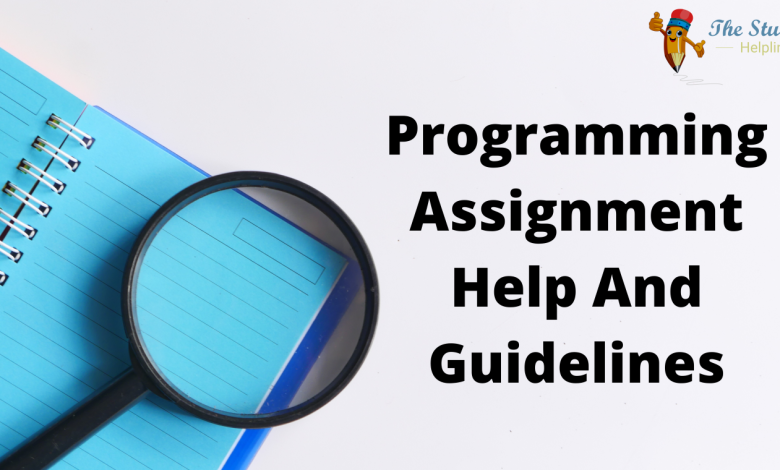 Photo of Programming Assignment Help And Guidelines