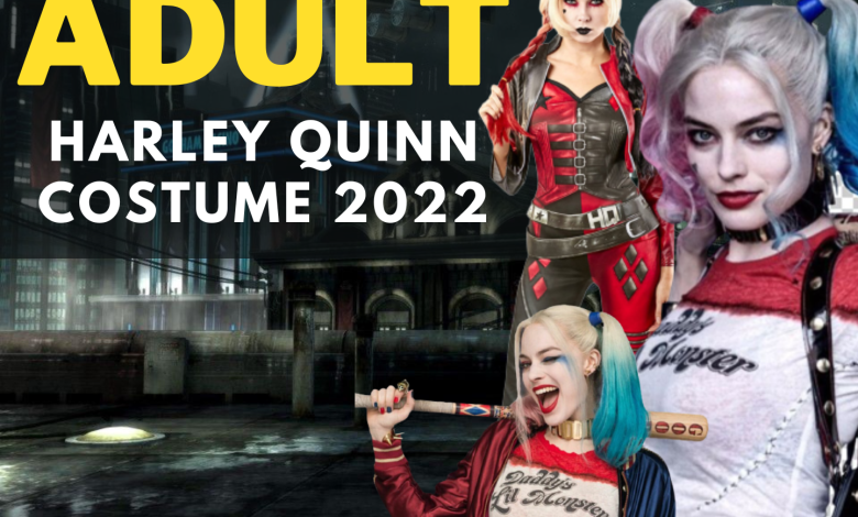 Adult Harley Quinn Costume 2022
